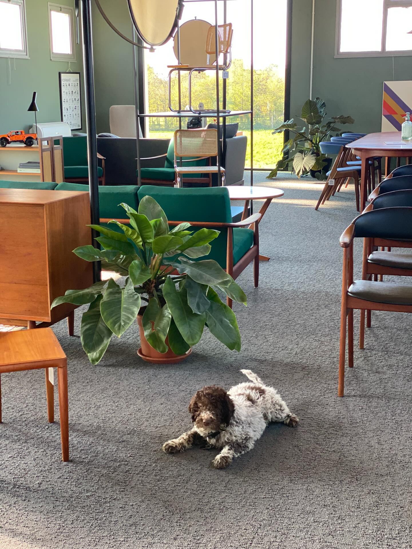 Showroom STOV Treviso: Vintage Scandinavian Design in Veneto