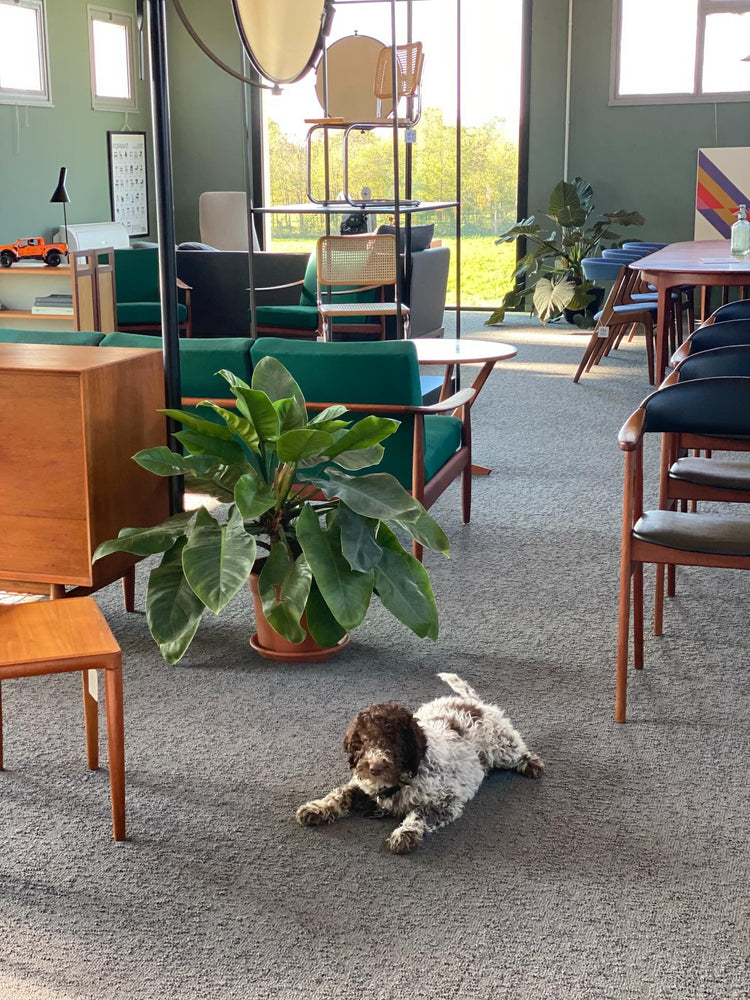 Showroom STØV Treviso: il design vintage scandinavo in Veneto