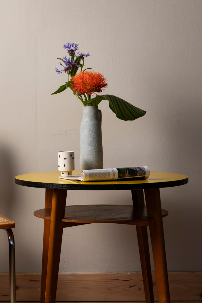 Vintage Enamelled Coffee Table with Shelf – Czechoslovak Design (1960s)