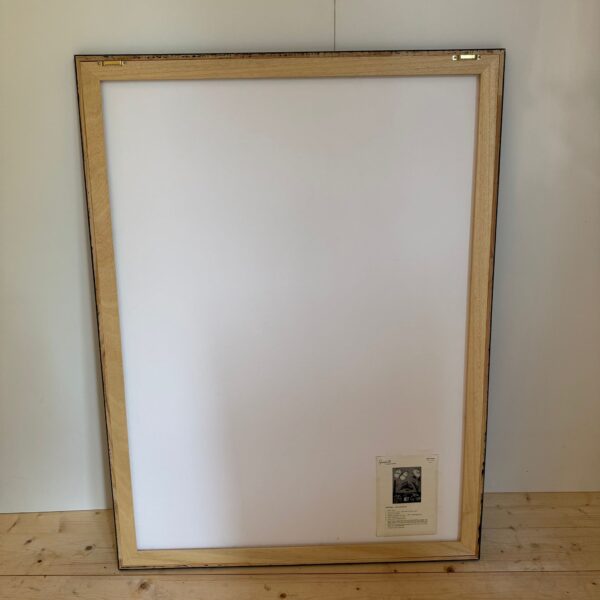 Poster didattico, farfalla, Svezia 1960